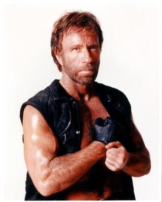 1292081481_chuck_norris.jpg