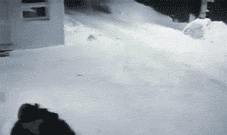 51687916b7846.gif