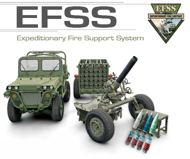 EFSS_Cover.jpg
