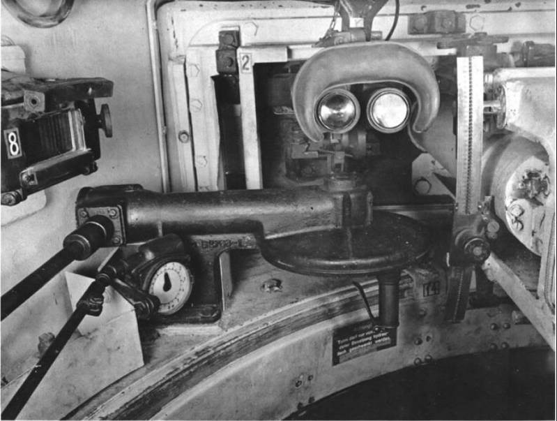 Tiger_11.jpg