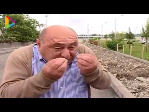 reisi.jpg