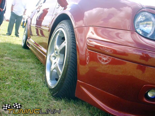db_TRAX_02_0341.jpg