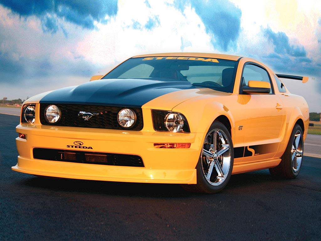 mustanggg.jpg