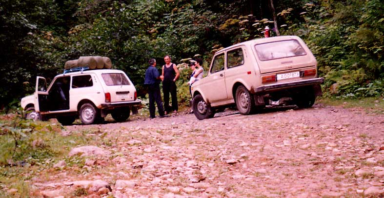 niva.jpg