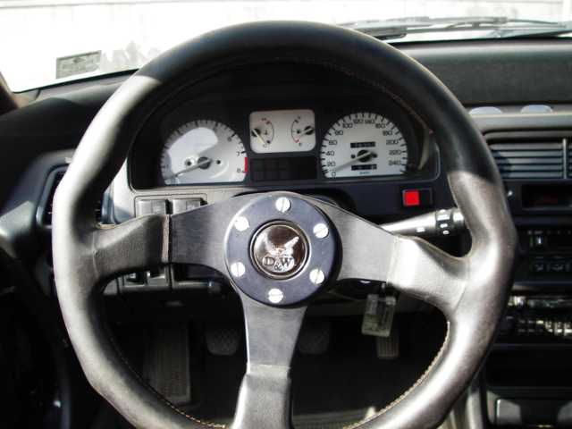 IMGP0679.JPG