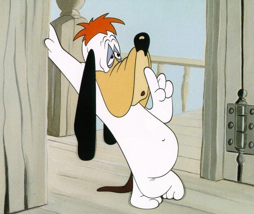 droopy_4.JPG