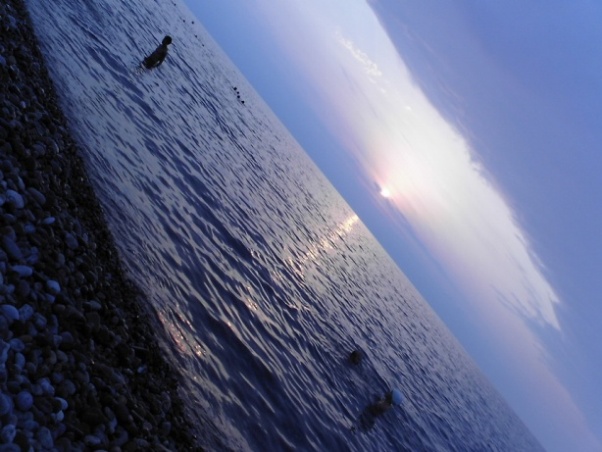 Picture_119.jpg