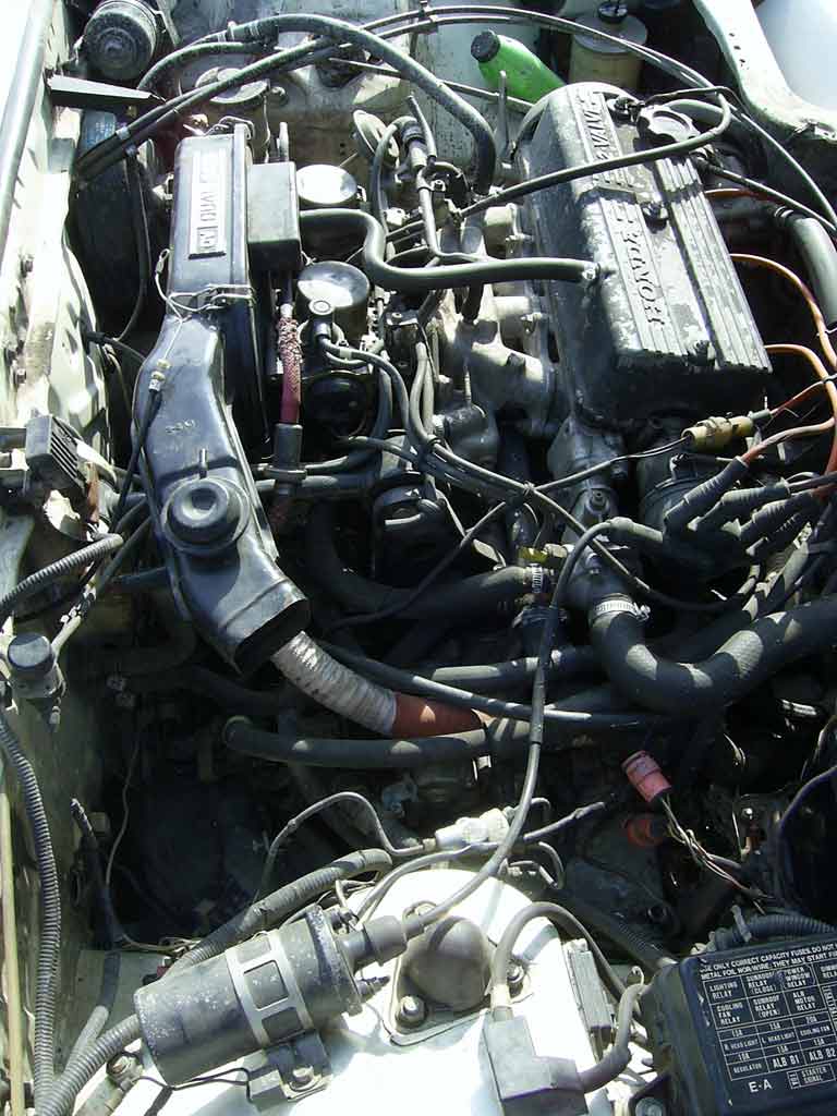 SA401598.jpg