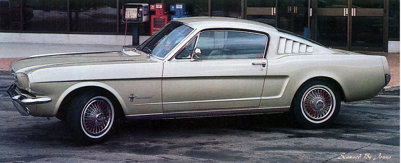 ford_mustang_1965_2.jpg