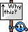 Why_This.gif