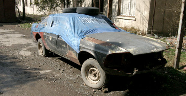 mustang_1.jpg