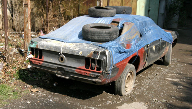 mustang_2.jpg
