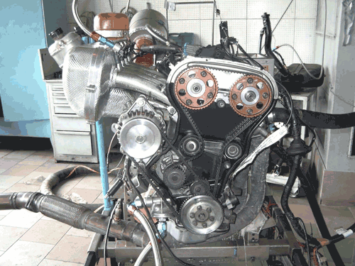 P1030487.gif