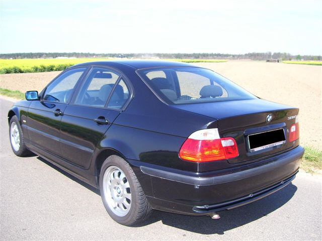 5594_27.jpg