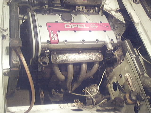 PIC0007.jpg