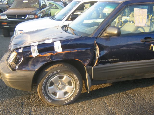 kari__640x480_.JPG