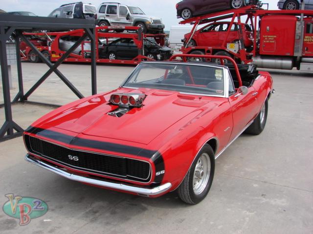 07759067_1X.jpg