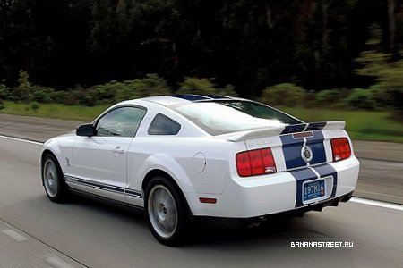 1159385325_ford_shelby_gt3.jpg