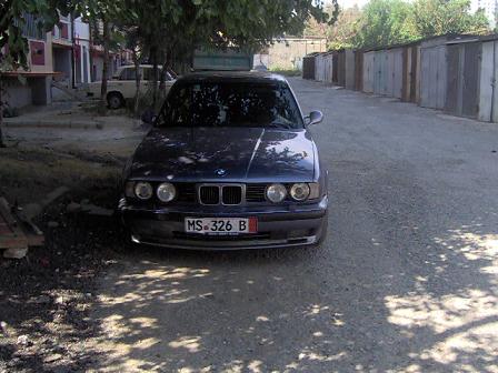 Picture_005.jpg