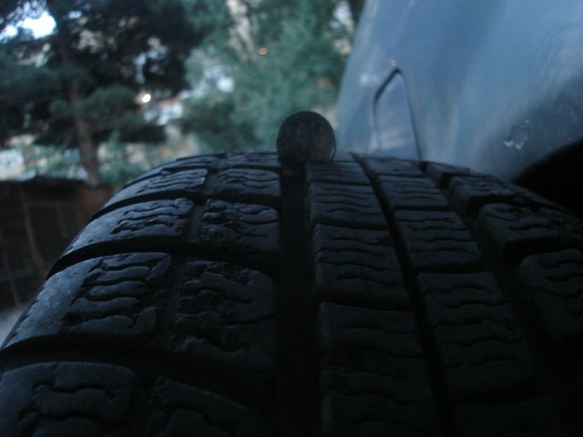 saburavi__640x480_.JPG