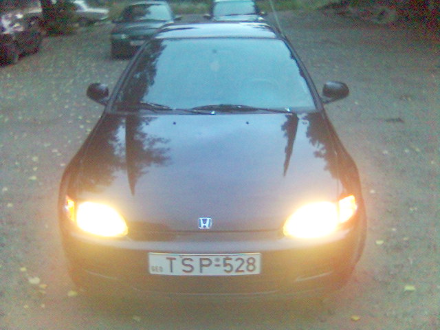 Picture_6_.jpg