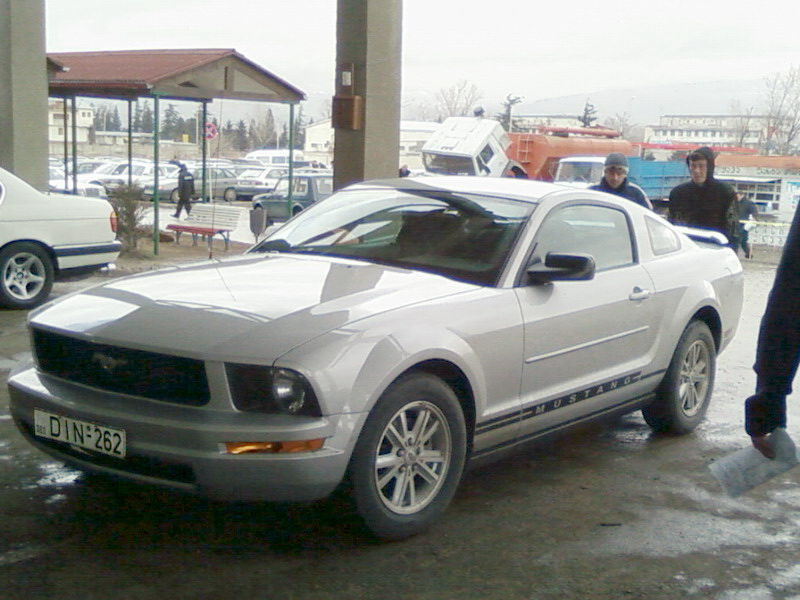 Mustang.jpg