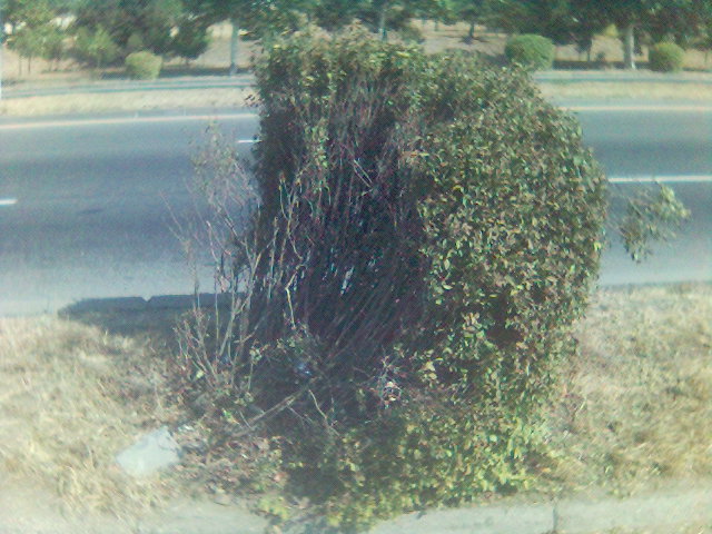 Picture_6_.jpg