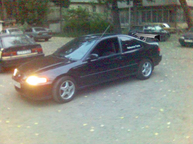 Picture_5_5_copy.jpg