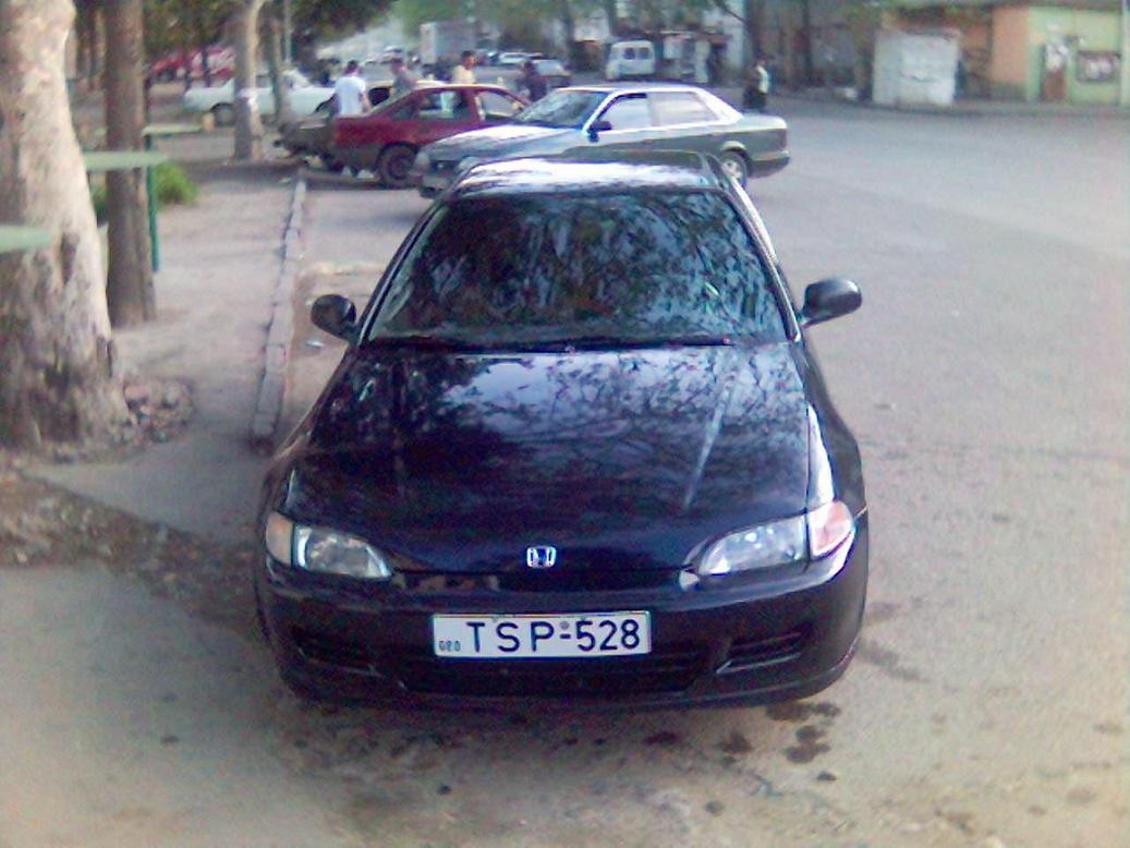 Copy_of_Picture_9_.jpg
