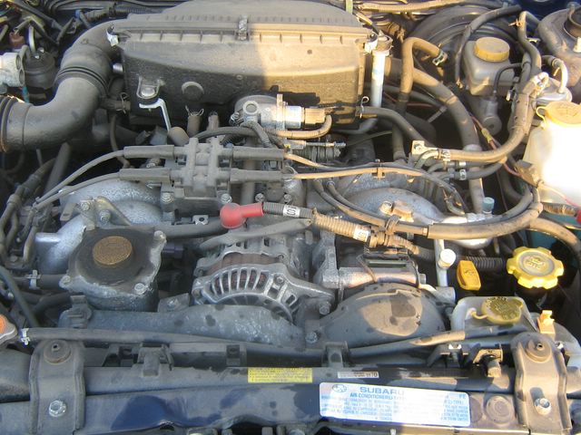 matori__640x480_.JPG