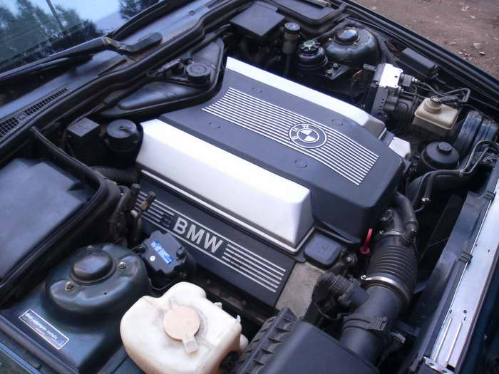 V8.jpg