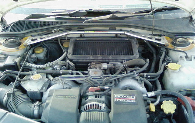 Bonnet_100K.jpg