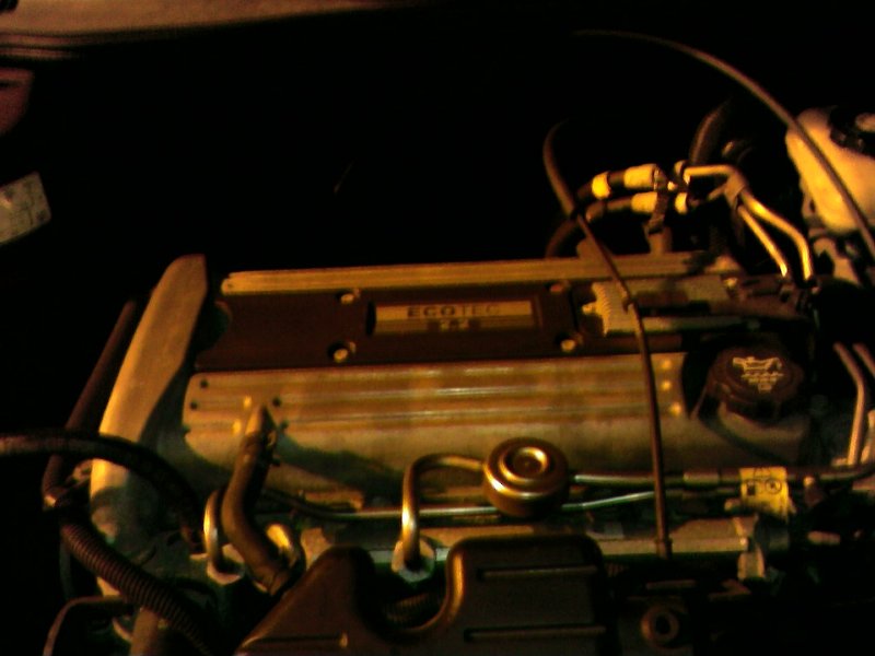 44444444_800x600.jpg