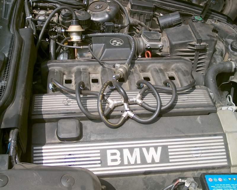 bmw_lubo2.jpg