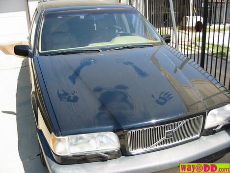 Volvo.JPG