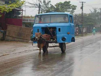 donkey_truck.jpg