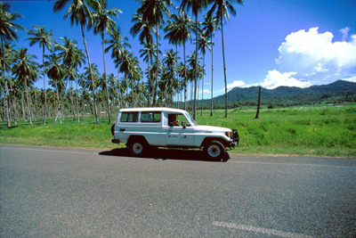 MahoniaToyota72.jpg