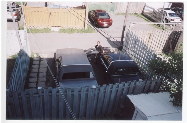 parkin.jpg