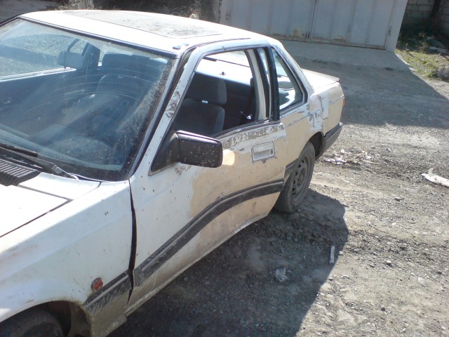 DSC00850.JPG