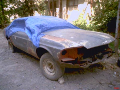 mustang_dashlili.jpg