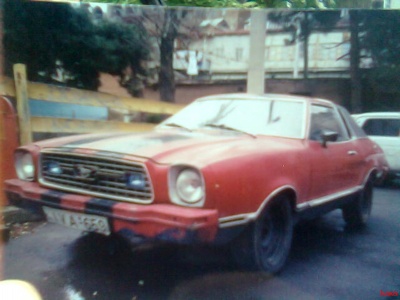 mustang_anzor.jpg