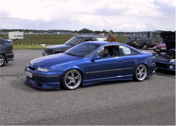 calibra263.jpg