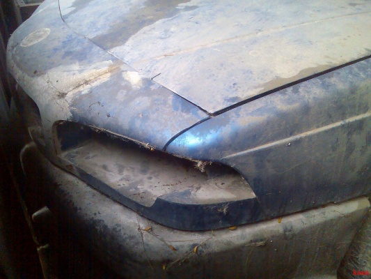 bmw_77.jpg