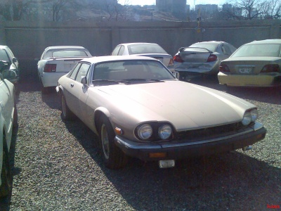 jaguar5.jpg