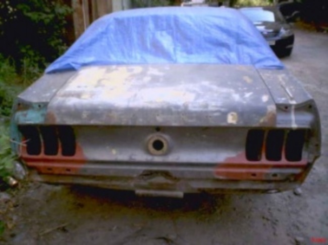 mustang_dashlili__1_.jpg