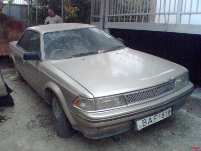 carina_.