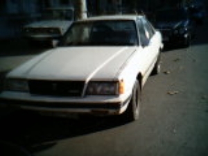 wapaloge003.jpg