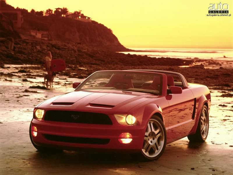 ford_mustang_gt_convertible_2003_01_m.jpg