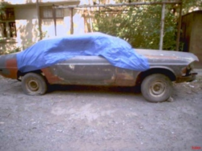 mustang____.jpg