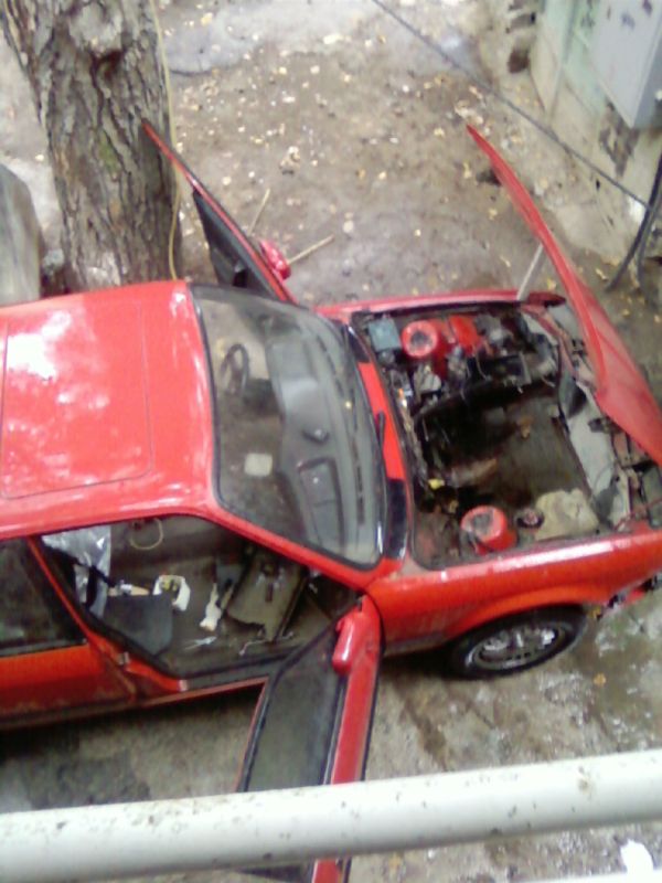 SP_A0205.jpg